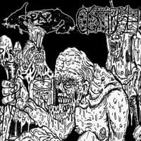 Cystgurgle - Southern as Fuck, Cunt / Engaged in Lymphophilia