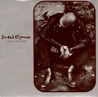 Sin&eacute;ad O'Connor - Jump In The River