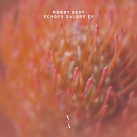 Robby East - Echoes Galore