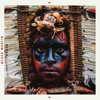 Black Merlin - Kosua