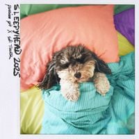 Passion Pit - Sleepyhead 2025