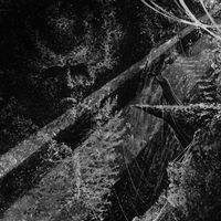 Wiederg&auml;nger - Stillborn Grace of Liberty