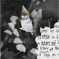 PIGPEN - Agony and Irony