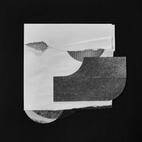 øjeRum & Peter Knight - Now We Are Branches And Leaves
