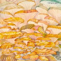 Shwamp - Leap