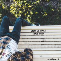Sentiment - What We Could Have Been