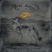Steve Von Till - Alone In A World of Wounds