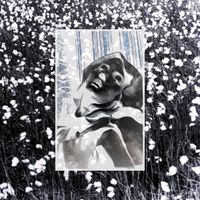 Elaine Malone - Galtee Virtual Muse