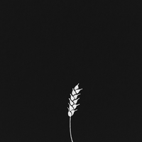 J. Wiegold - Excerpts Apr.'23 - Aug.'24