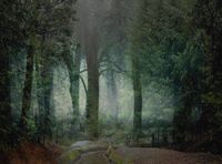 Plastic Alter - The Ambiguity of Nature