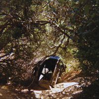 Ty Segall - Fantastic Tomb