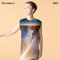 bird - Reconnect