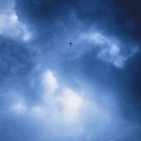 FauloCity - Falling