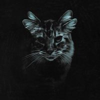 Raue - too scared to explain