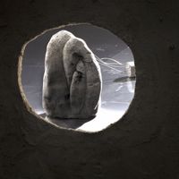 Koenraad Ecker - A Biology of Shadows