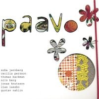 Paavo - Paavo