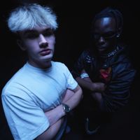 Gawronek - Travis Scott