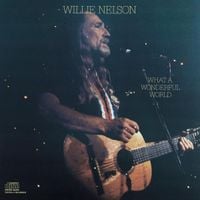 Willie Nelson - What a Wonderful World