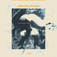 Cherie Amour - Release Me