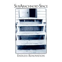 SubArachnoid Space - Endless Renovation