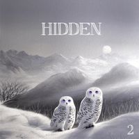 RONEN - Hidden 2