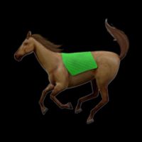 OsamaSon - horses
