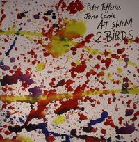 Peter Jefferies - At Swim Two Birds