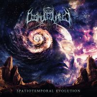Cosmoveillance - Spatiotemporal Evolution