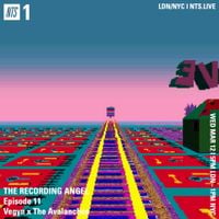 The Avalanches - The Recording Angel on NTS: Episode 11 - Vegyn x The Avalanches