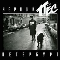 ДДТ - Чёрный Пёс Петербург