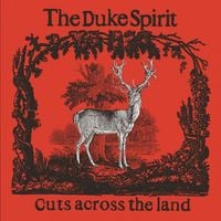 The Duke Spirit - Cuts Across the Land