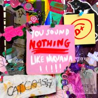 Cat Crash - You Sound Nothing Like Nirvana
