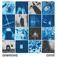 Anemona - coral
