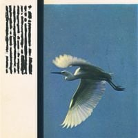 Aidan Baker - No Night Is Long Enough To Dream Twice