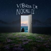 Eslab&oacute;n Armado - Vibras De Noche II