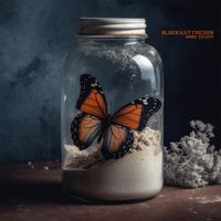 Black Out The Sun - MORE TO LIFE