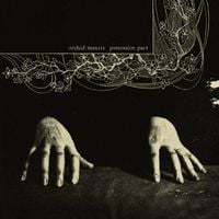 Orchid Mantis - Possession Pact