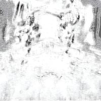 Anemone Lux - Harmony Fractured Into Place