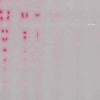 鬼 - 果てしが無い