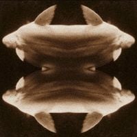 Farsin Khronos - Do Fishes Dream of Dying Oceans?