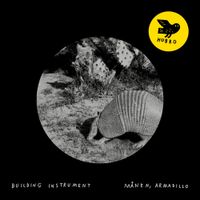 Building Instrument - M&aring;nen, Armadillo