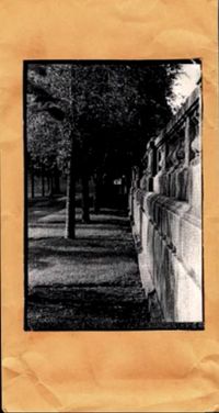 Deterge - QFT