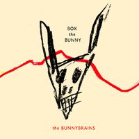 Bunny Brains - Box the Bunny