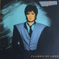 Fancy - Flames Of Love