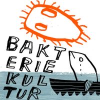 Bakterien - Bakteriekultur
