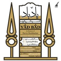 سیامک آقایی [Siamek Aghaei] - Yad Bad (Live)