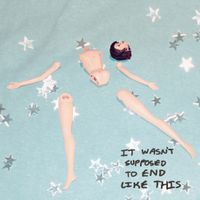 Jesse Detor - It Wasn't Supposed To End Like This