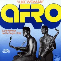 Segun Okeji - I Like Women
