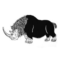 ME REX - Wooly Rhino