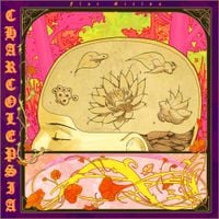 Flor Girino - Charcolepsia